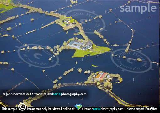 Shannon flood near Athlone