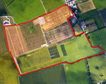 crop trials aerial photo
