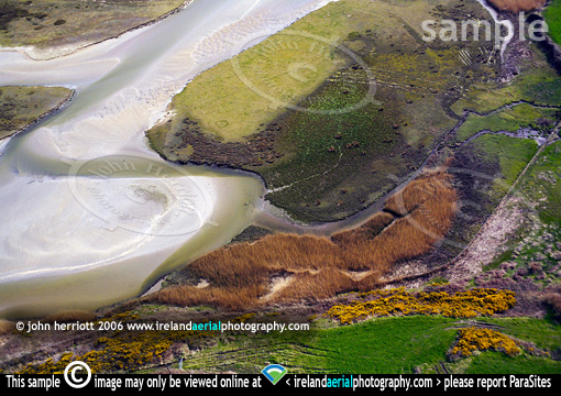Barleycove Beach salt marsh