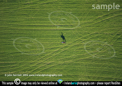 Shadow Horse and rider aerial view