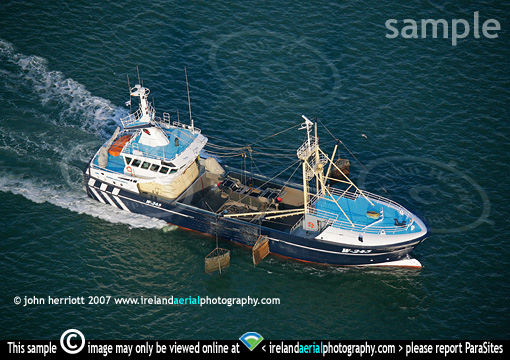 Creadan Lady, Waterford ( W-243 )