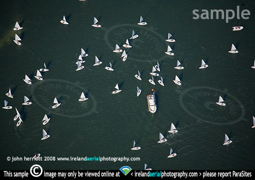 Lasers sailing in Wexford Harbour