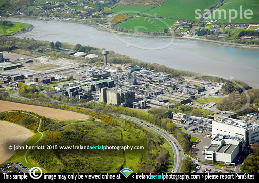 Pfizer, Ringaskiddy, Cork